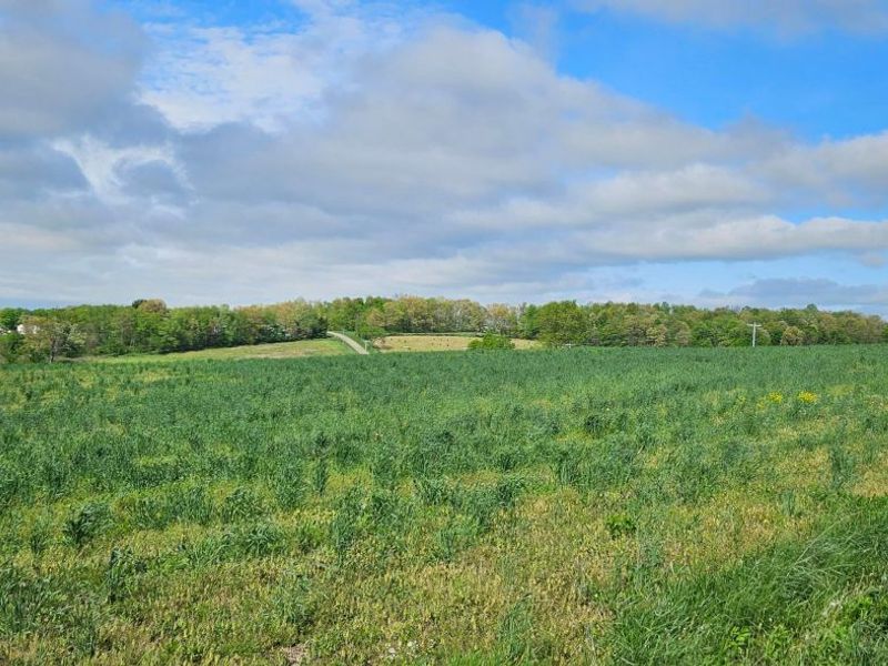 0 Divelbiss Road , Fredericktown, OH 43019 Photo 3