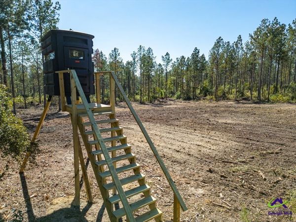 OHP Dominy Road, TOOMSBORO, GA 31090