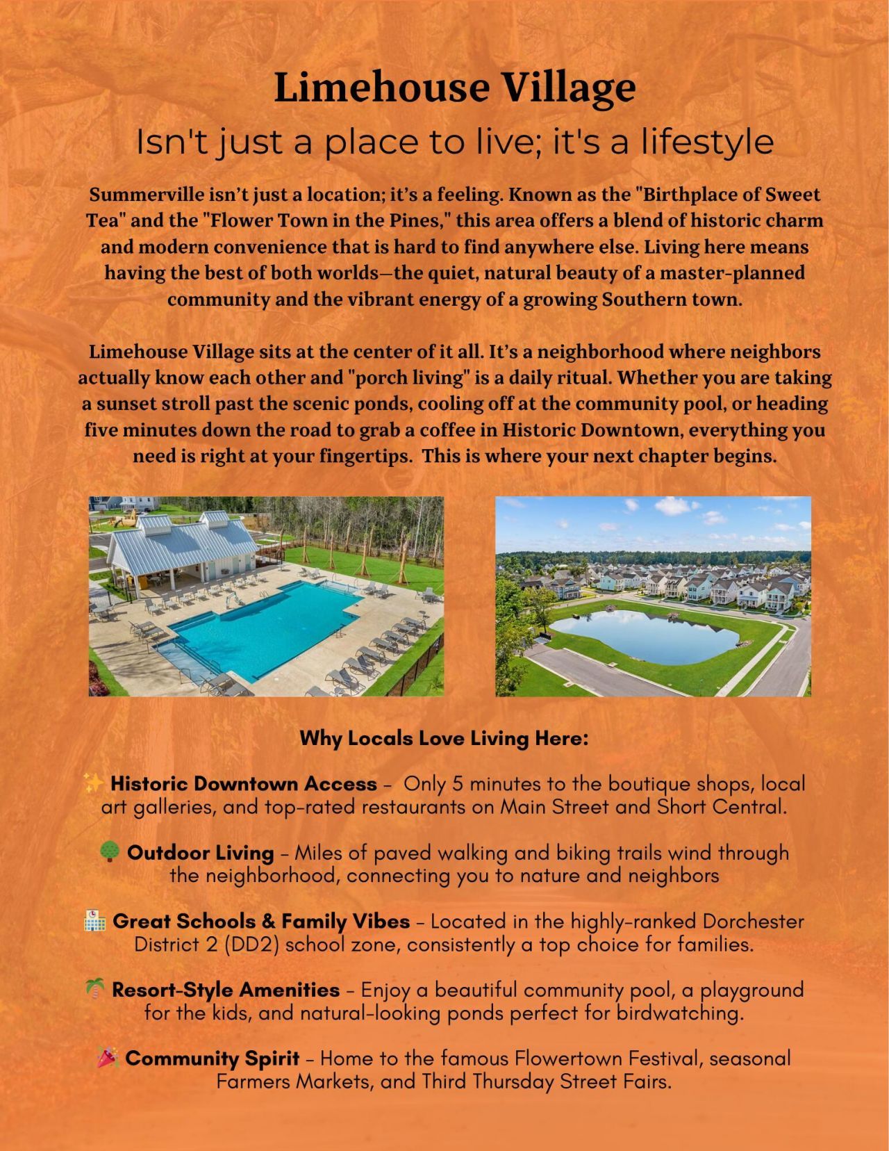 101 W Respite Lane Photo 30