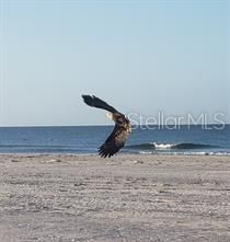 7454 Palm Island Drive, Unit 3311, Placida, FL 33946 Photo