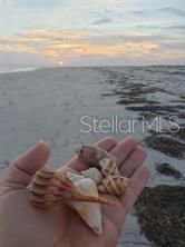7454 Palm Island Drive, Unit 3311, Placida, FL 33946 Photo