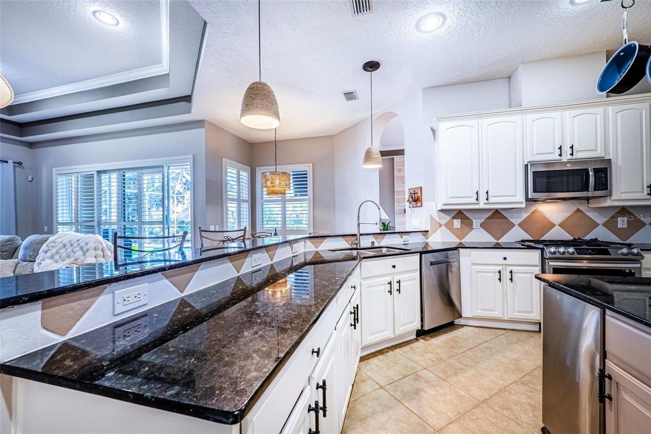 10653 Garda Drive, Trinity, FL 34655 Photo