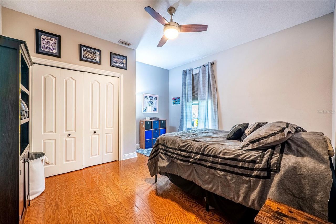 10653 Garda Drive, Trinity, FL 34655 Photo