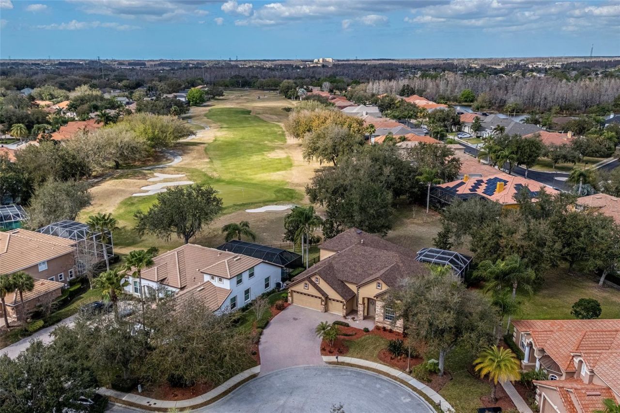 10653 Garda Drive, Trinity, FL 34655 Photo