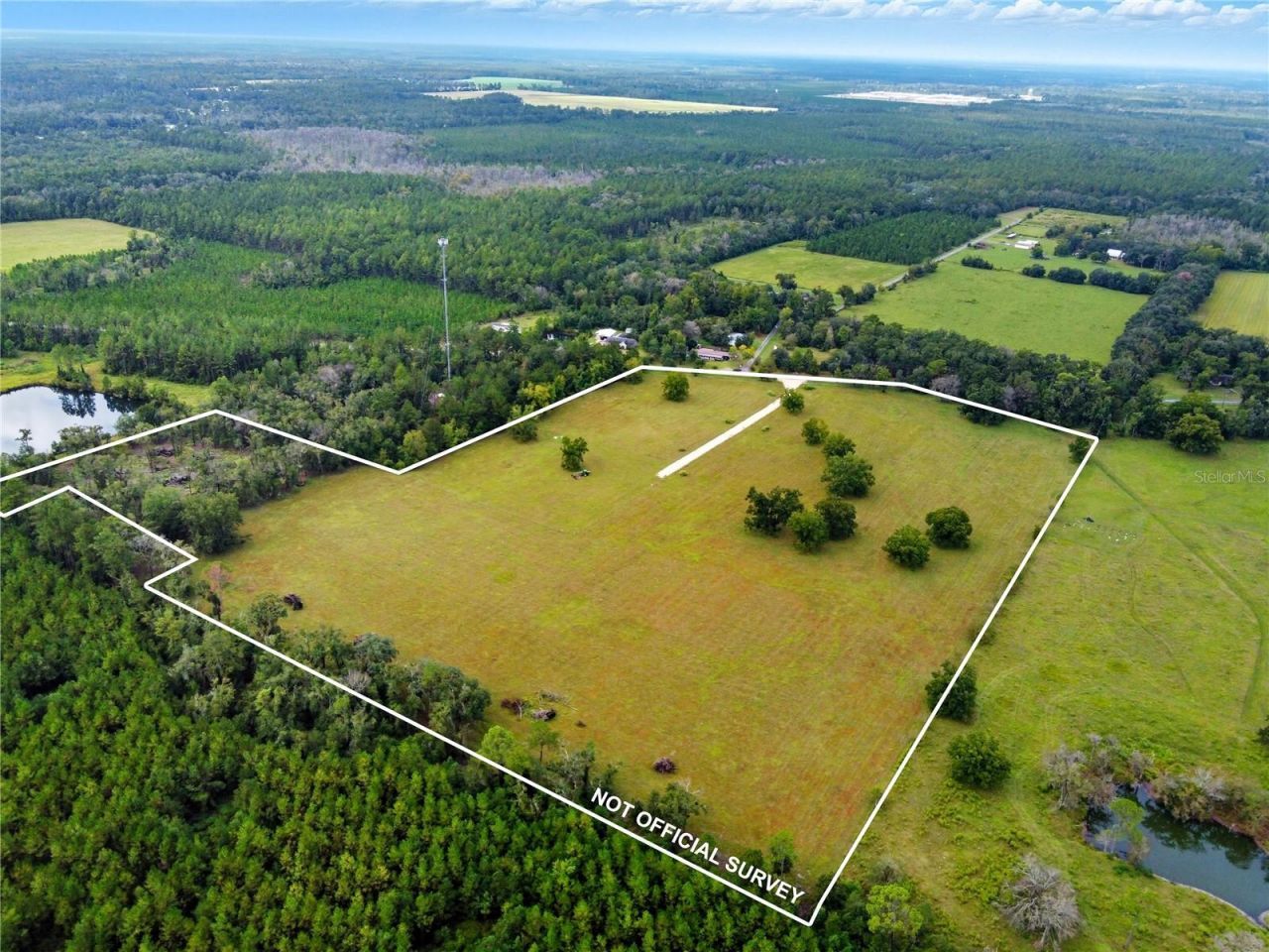 11242 Hogan Road, Live Oak, FL 32060 Photo