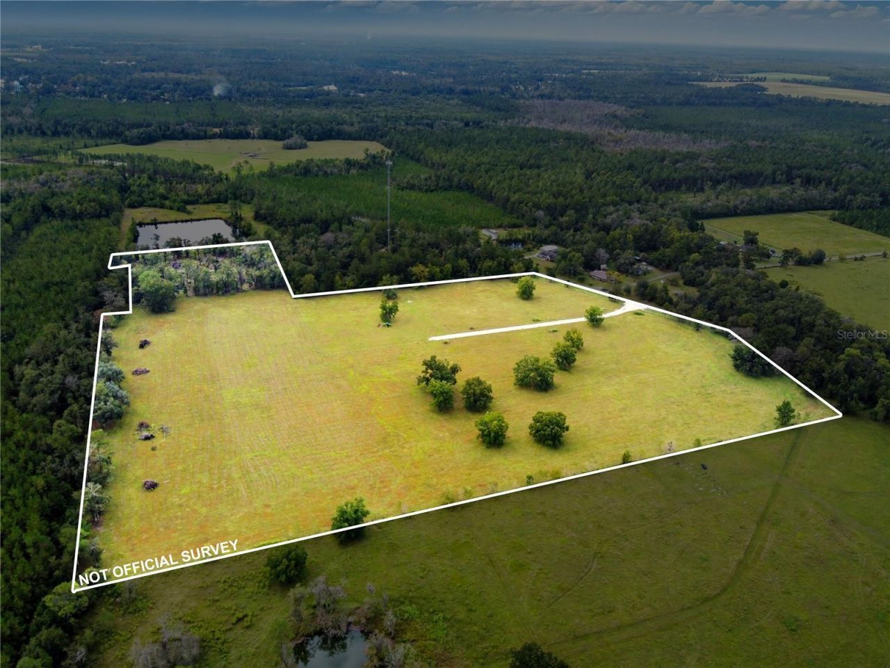 11242 Hogan Road, Live Oak, FL 32060 Photo