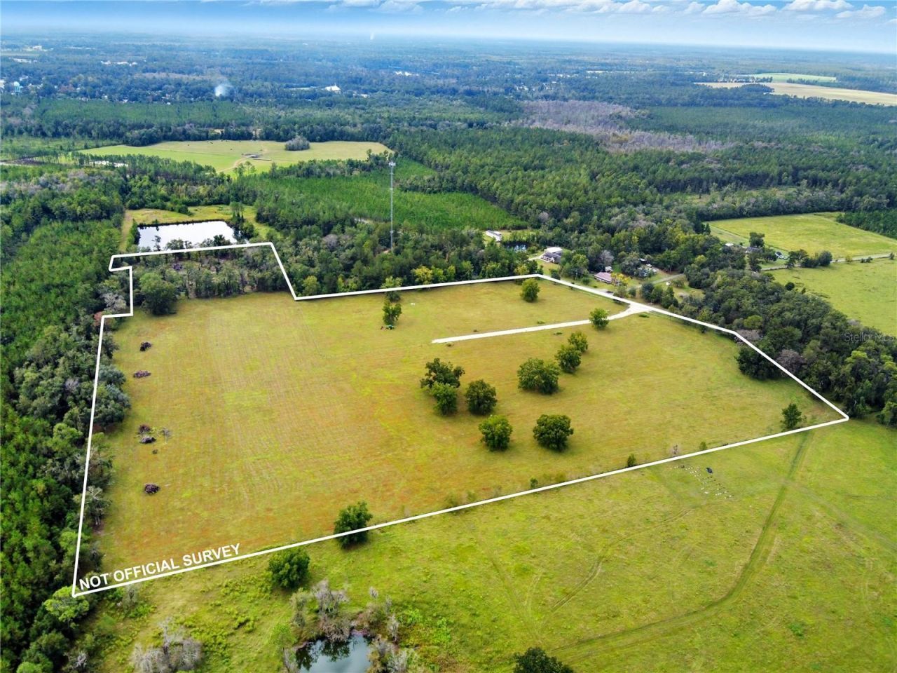 11242 Hogan Road, Live Oak, FL 32060 Photo