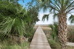 1352 Headquarters Plantation Drive photo 4