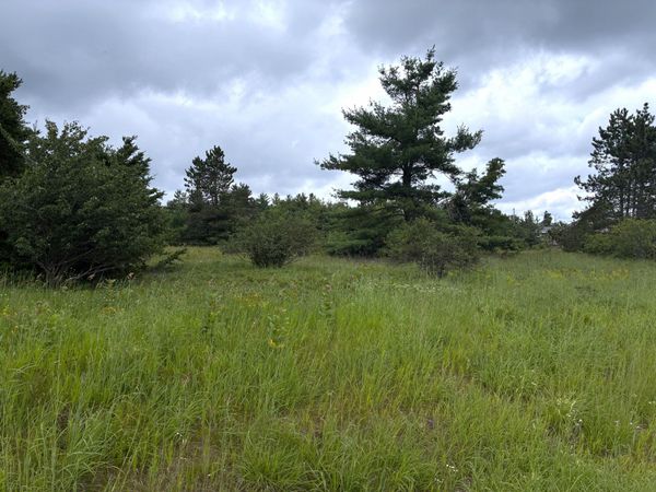 Parcel 1 Airport Road, Lewiston, MI 49756