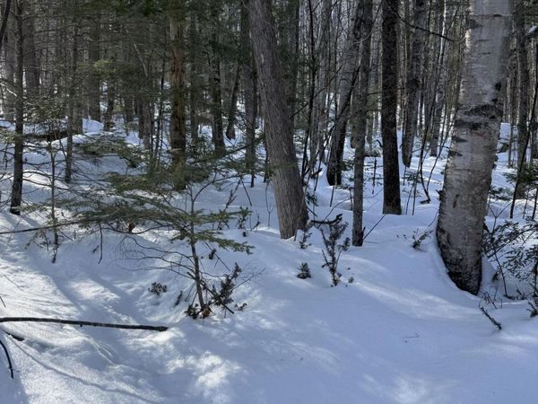 TBD Great Moose Pond Drive, Hartland, ME 04943