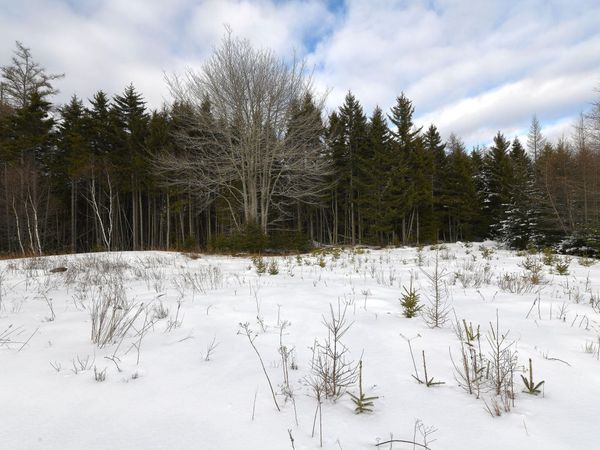 12 Lindsay's Road, Deer Isle, ME 04627