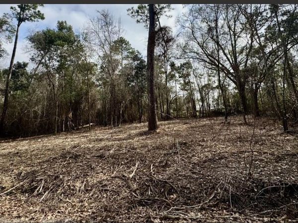 0 Elaine Street, Waveland, MS 39576