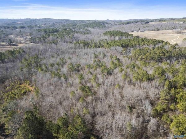24 Acres Blanton Road, Gadsden, AL 35904