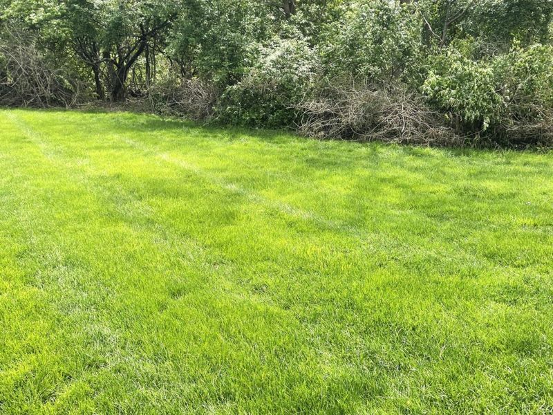 0 morey Drive, Marysville, OH 43040 Photo 1