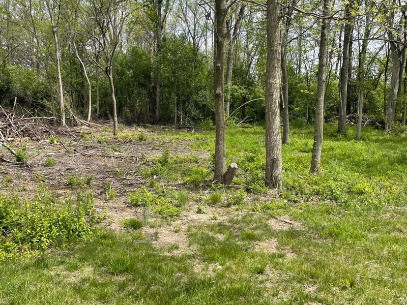 0 morey Drive, Marysville, OH 43040 Photo 3