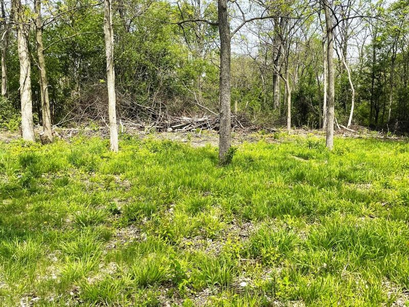 0 morey Drive, Marysville, OH 43040 Photo 5