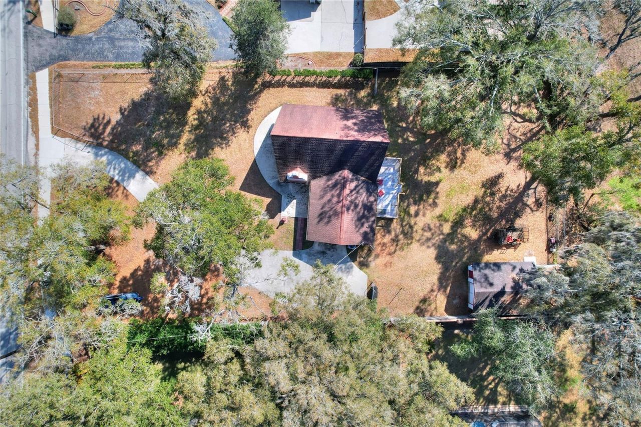 3205 Little Road, Valrico, FL 33596 Photo