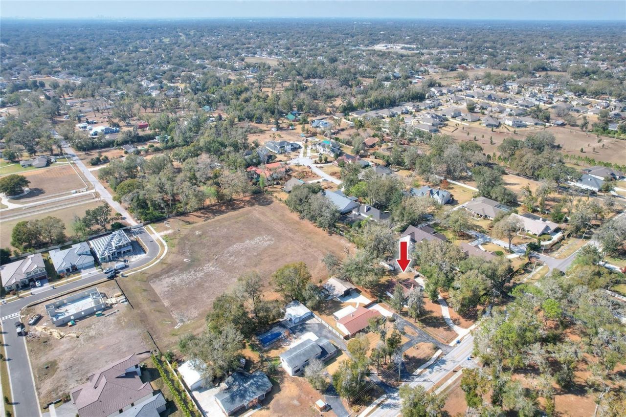 3205 Little Road, Valrico, FL 33596 Photo