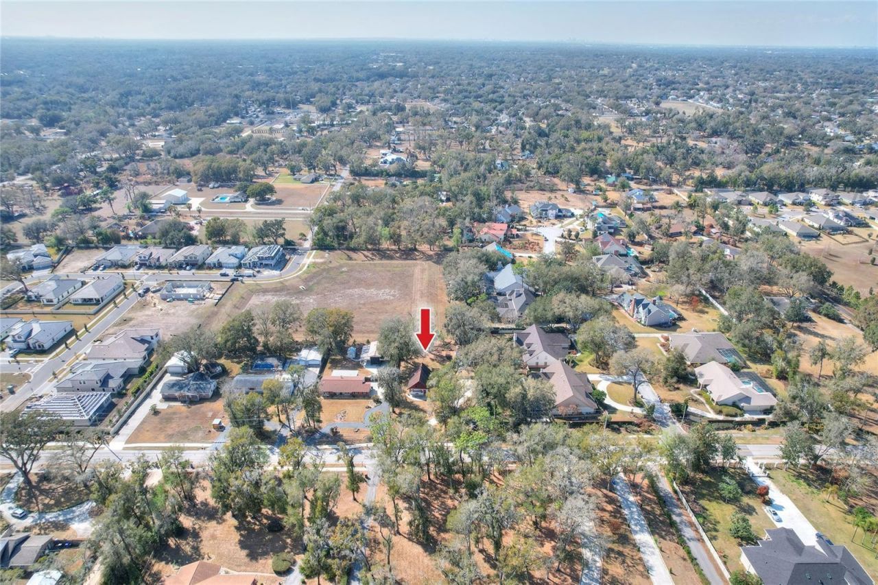 3205 Little Road, Valrico, FL 33596 Photo