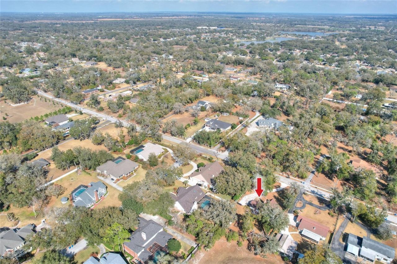 3205 Little Road, Valrico, FL 33596 Photo