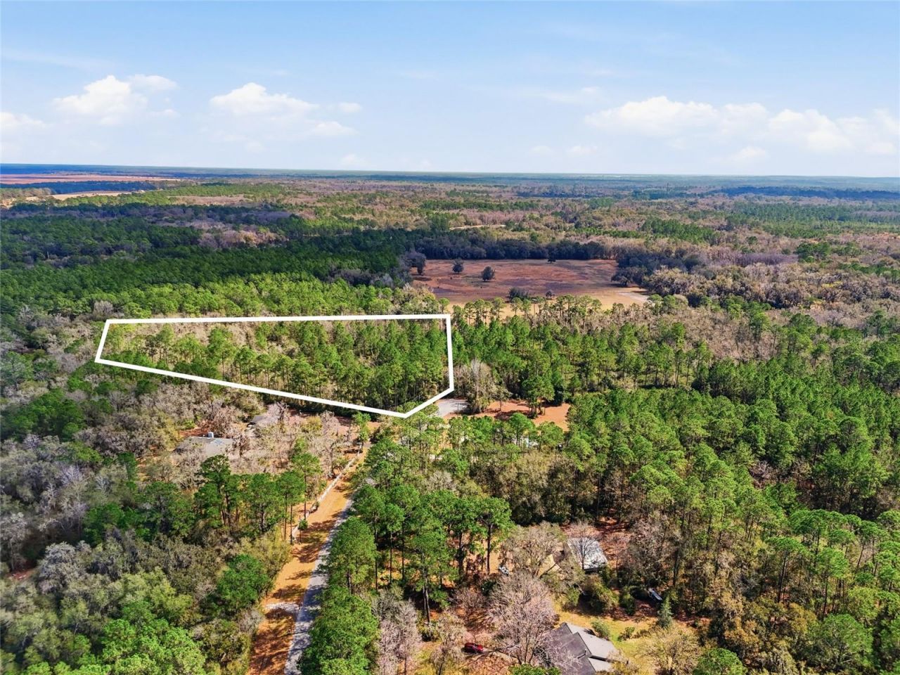 1316 SW 119th Place, Micanopy, FL 32667 Main Photo