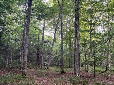 Creek Road, Unit 7, Taberg, NY 13471