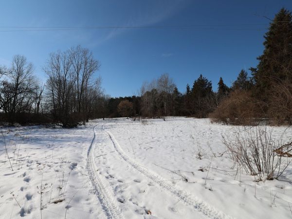 Greenville, MI 48838