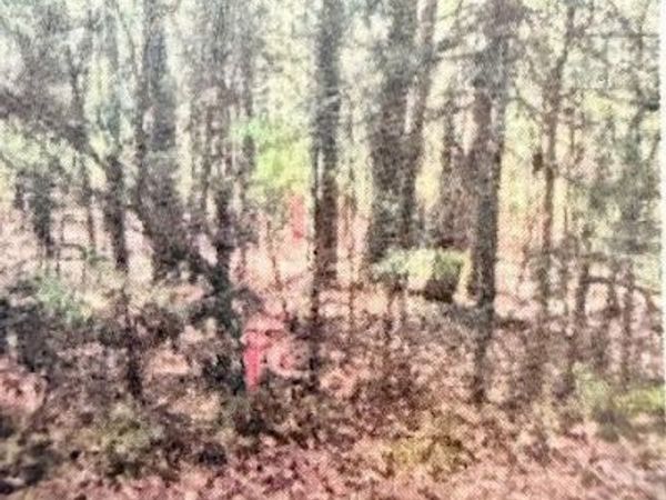 0 Hardy Road, Madison, MS 39110