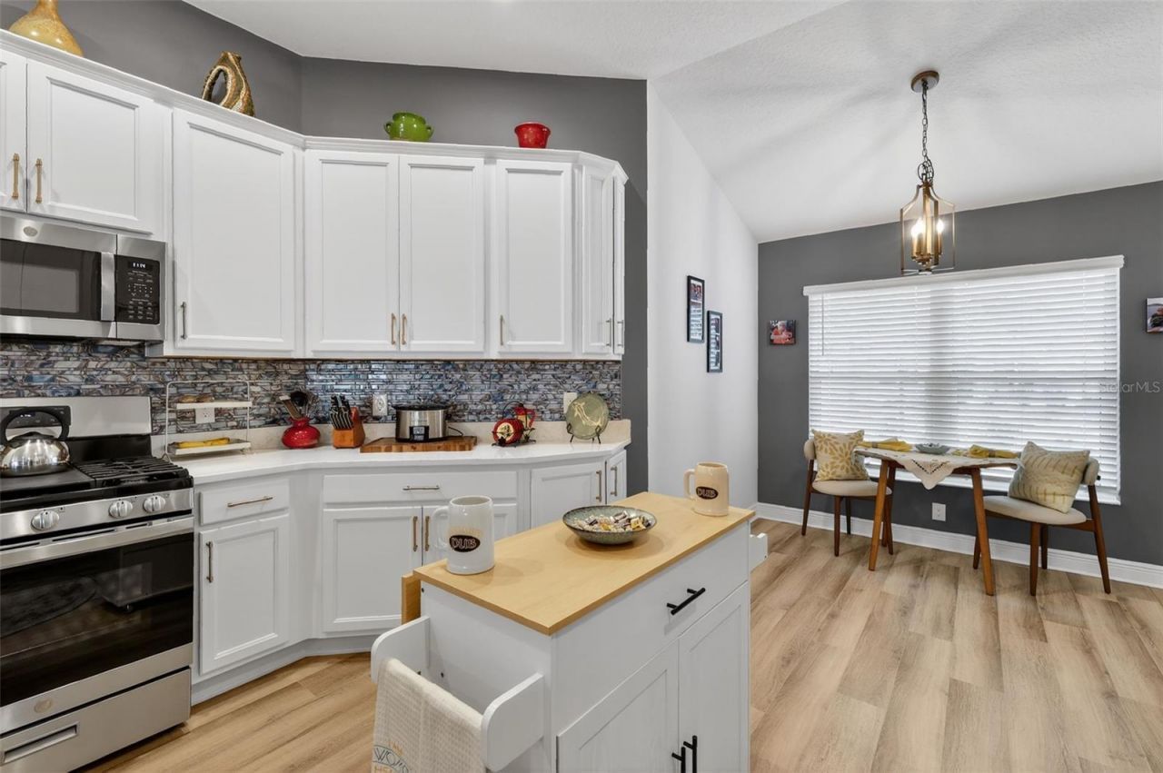 7022 Minchew Circle, The Villages, FL 34762 Photo