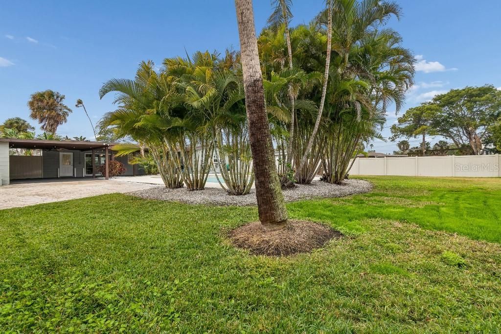 4601 Venetian Boulevard Ne, Saint Petersburg, FL 33703 Photo