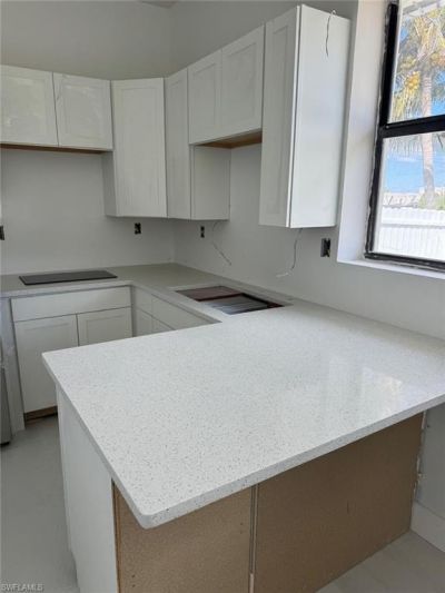 10741 Maui Cir, Estero, FL 33928 Photo