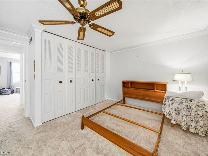 236 Regina Drive, Bedford, OH 44146 Photo 30