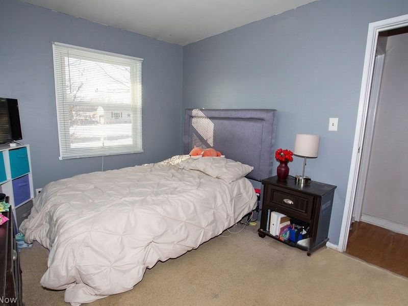 3490 Warwick Court, Canfield, OH 44406 Photo 22