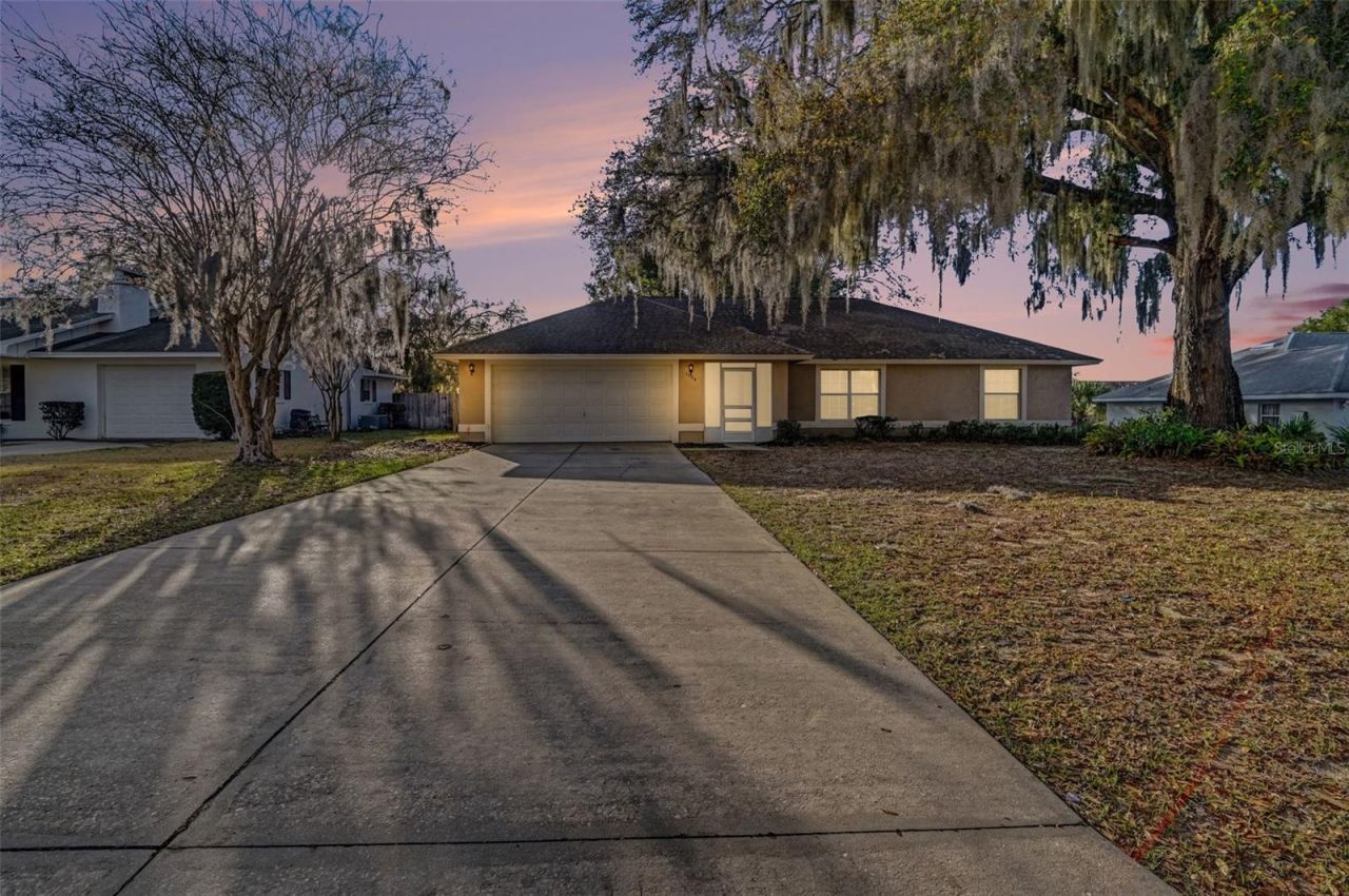 1004 Lantana Drive, Eustis, FL 32726 Main Photo