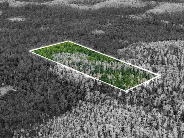 DILL ROAD, ORLANDO, FL 32820