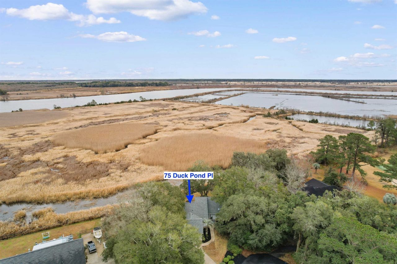75 Duck Pond Pl. Photo 33