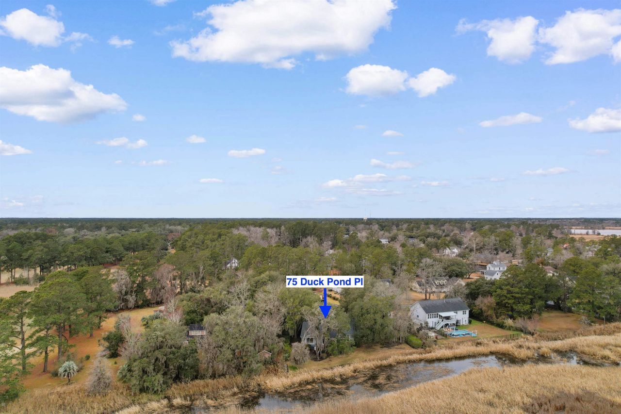 75 Duck Pond Pl. Photo 37