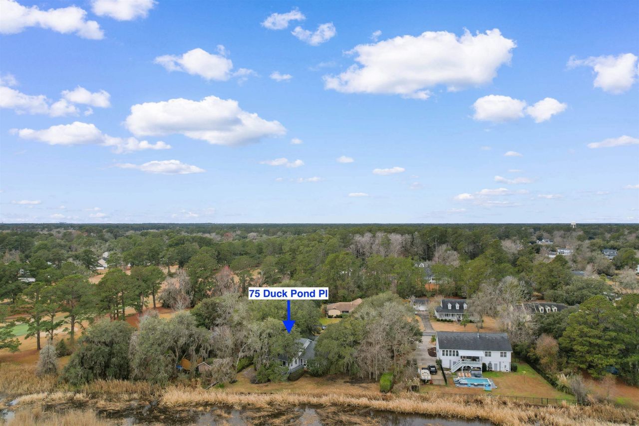 75 Duck Pond Pl. Photo 39