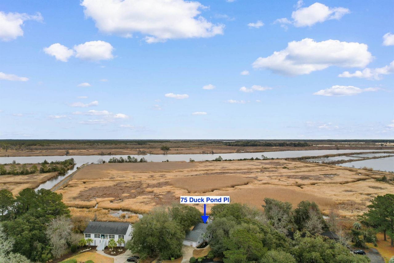 75 Duck Pond Pl. Photo 41