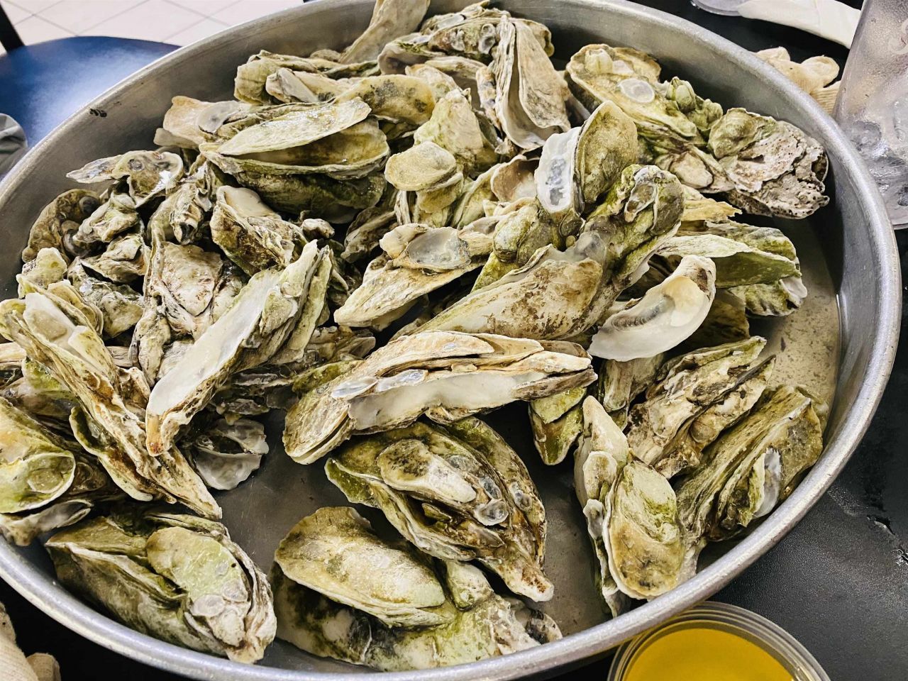 75 Duck Pond Pl. Photo 51