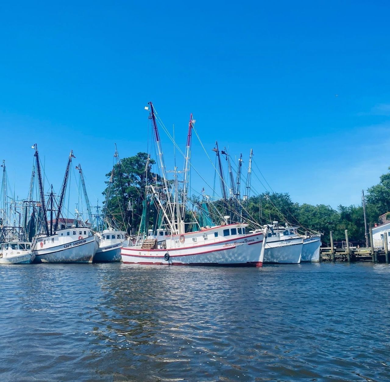 75 Duck Pond Pl. Photo 52