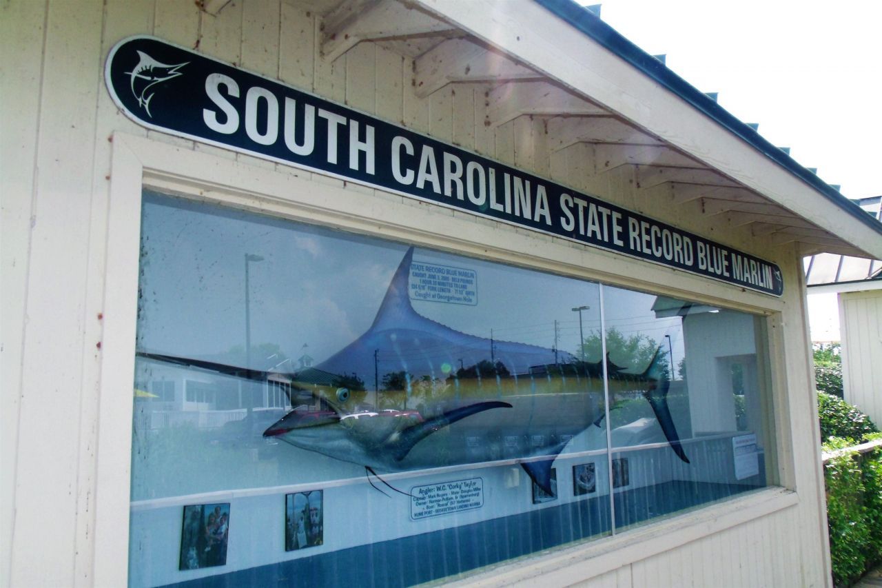 75 Duck Pond Pl. Photo 61