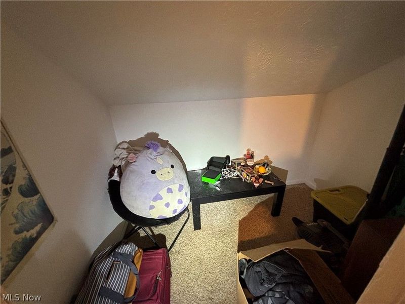 942 Caddo Avenue, Akron, OH 44305 Photo 24