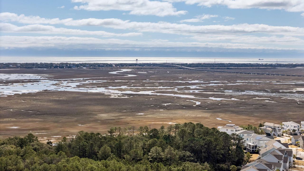 1478 Fort Palmetto Circle Photo 50