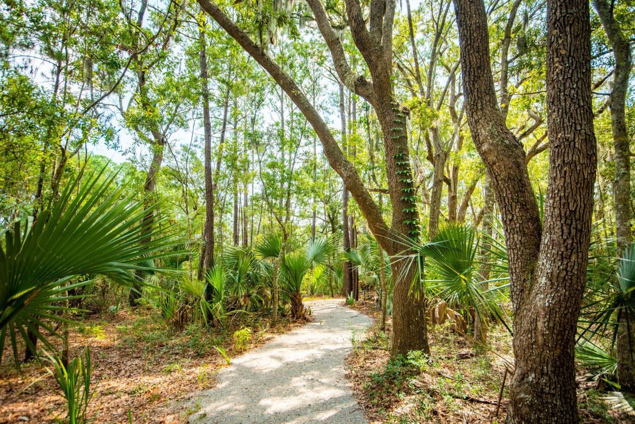 1478 Fort Palmetto Circle Photo 54