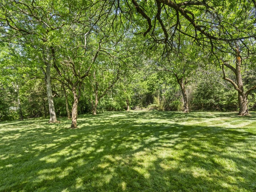 Property Image 66