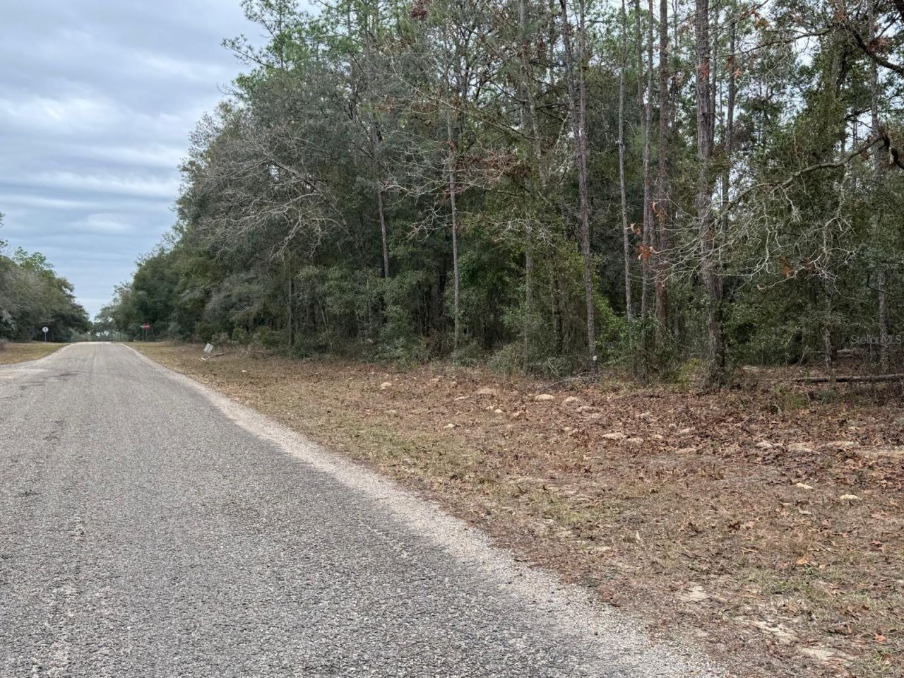 60 E Falcon Street, Dunnellon, FL 34434 Photo