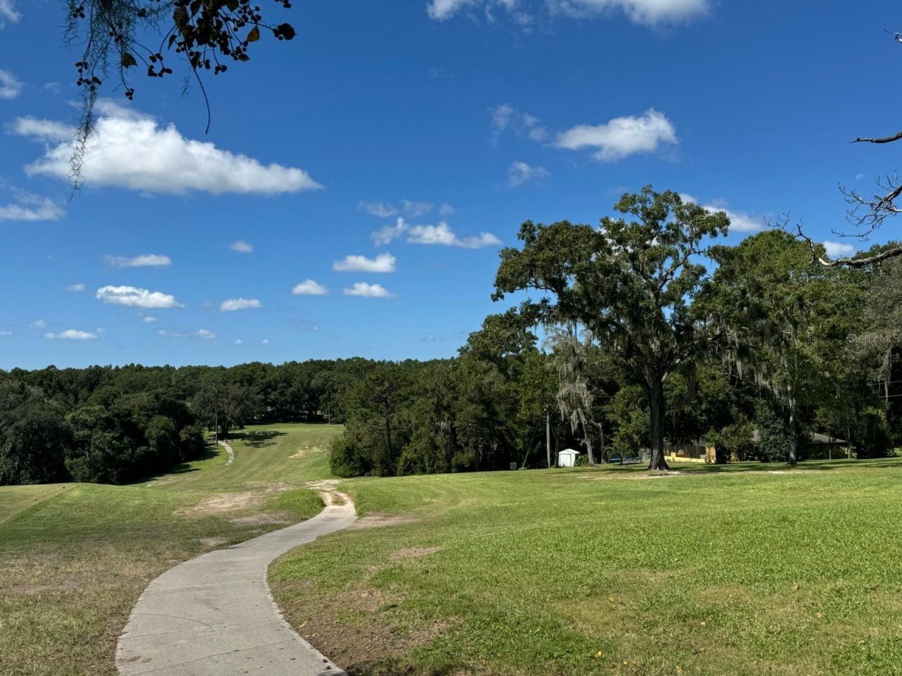 60 E Falcon Street, Dunnellon, FL 34434 Photo