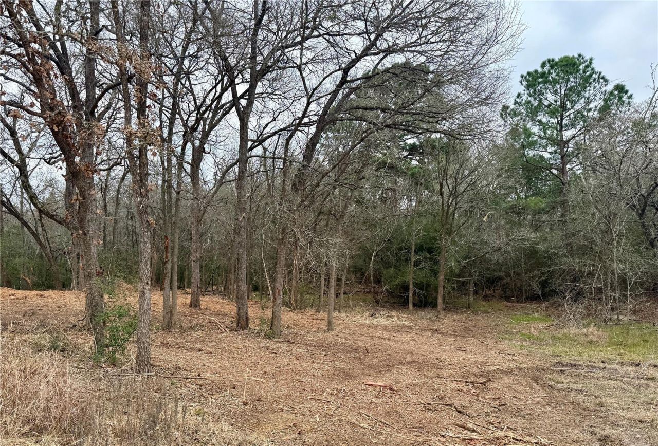 Lot 8 And 9 Meadow Creek Dr, Bastrop, TX 78602 Main Photo