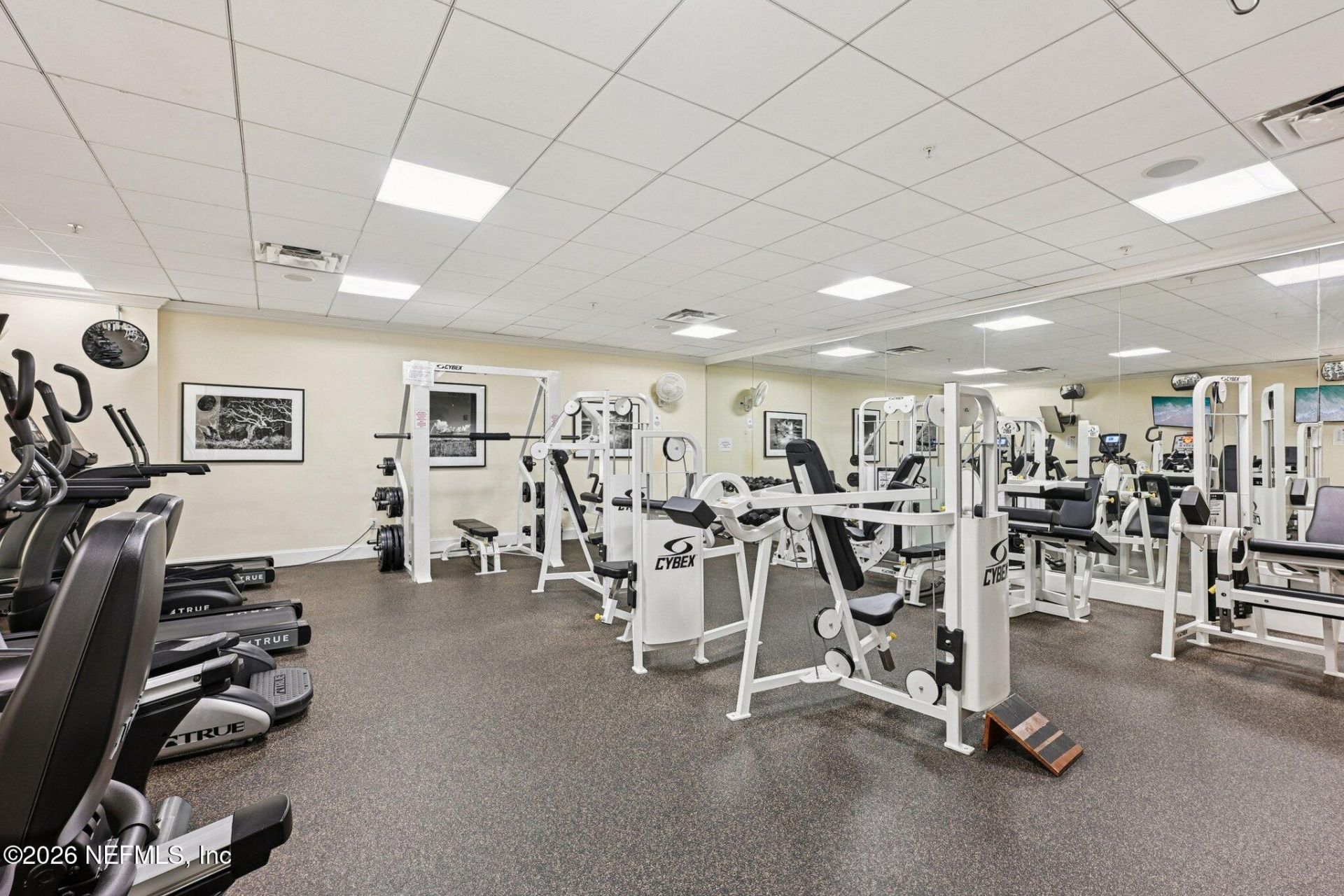 2358 Riverside Avenue, Unit 405, Jacksonville, FL 32204 Photo
